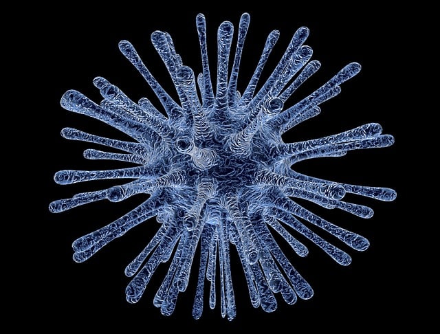 dna
